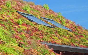 Reddish living roof systems